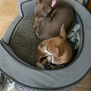 Meet your Posher, Hector